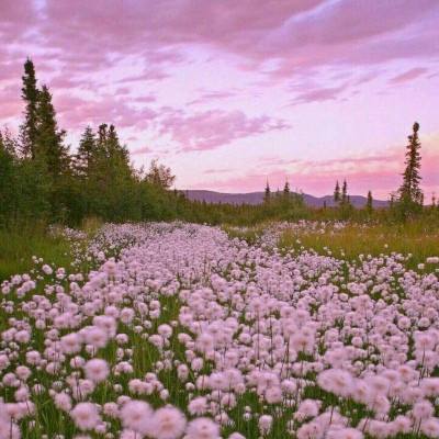 幸运彩票下载app